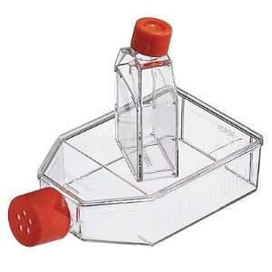 Corning cell culture flask, 25 cm 2 , canted neck, vented cap 