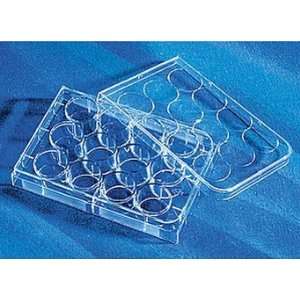   Lid, 9.5cm2 growth area per well (50/Case)