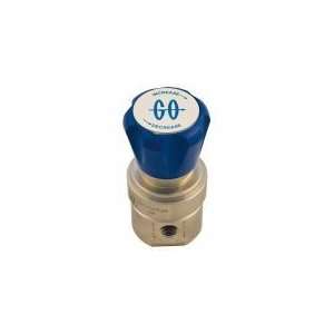    1A11I5E111 Reducing Valve,316L SS,FNPT,1/4 In,0 50