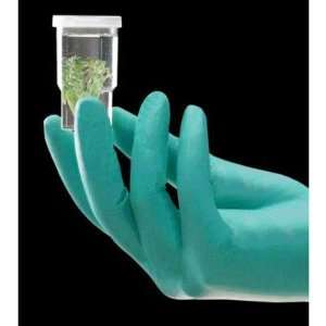 Green 240 mm NeoTouch 13 mil Neoprene Powder Free Disposable Gloves 