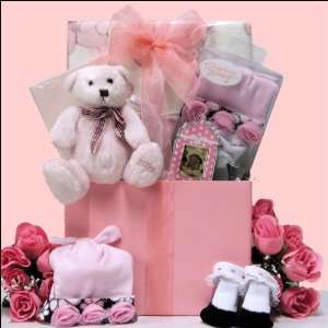  Its a Girl Baby Gift Basket Baby