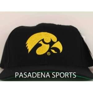    VINTAGE IOWA HAWKEYES SNAPBACK CAP NWT big 10 