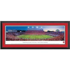  North Carolina State Wolfpack Carter Finley Stadium Deluxe 