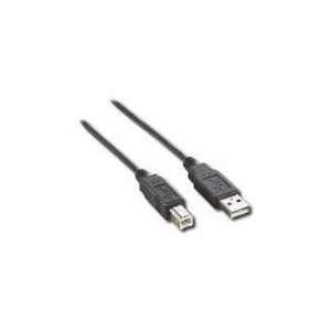  DX C11419 6 Ft. USB 2.0 A/B Cable 