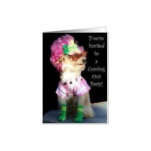  Coming Out Party Invitation Toy dog Card Health 