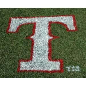  MLB Lawn Logo   Texas Rangers