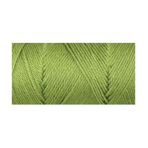  Caron Simply Soft Collection Yarn Pistachio; 3 Items/Order 