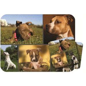  Pitbull Mousepad