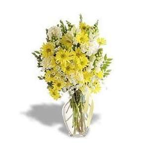  Yellow Daisy Vase