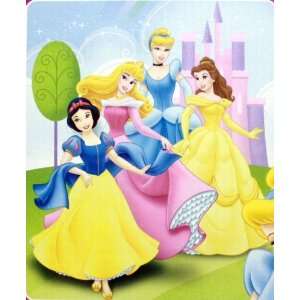    Disney Princess Royal Plush Raschel Throw Beaming Beauties Baby