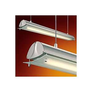   Wall Wash Canopy Mount Pendant   Nrs45 301S