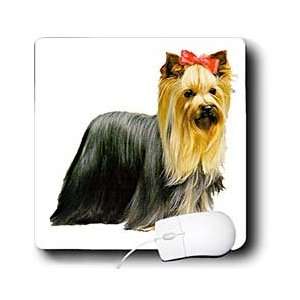  Dogs Yorkshire Terrier   Yorkshire Terrier   Mouse Pads 