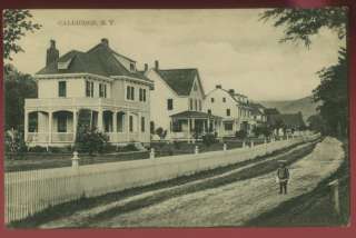 060911 LOVELY HOMES DIRT ROAD CALLICOON NY POSTCARD 1908  