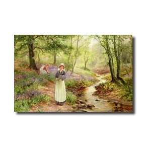  The Bluebell Glade Giclee Print