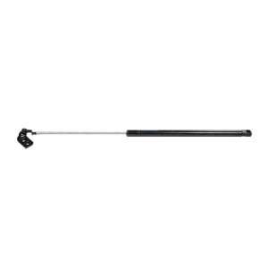  Strong Arm 4839 Hatch Lift Support Automotive