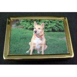   Gold Tone Picture Photo Frame Belt Buckle 3 X 2 