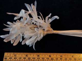   Millinery Flower Frilly Ivory ZCA for Fascinator Hat Wedding or Hair