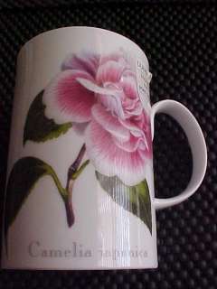 Osborne Dunoon Camelia Japonica Floral Mug England  