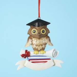   Pack of 12 Wise Owl Graduate Christmas Ornaments for Personalization