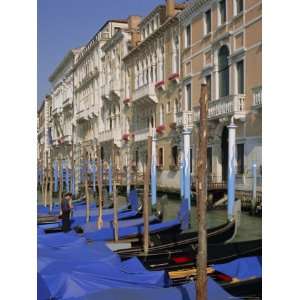  Moored Gondolas on the Grand Canal, Venice, Veneto, Italy 