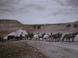 Huffman  Ted Stallings Freight Outfit Sunday Creek Montana 