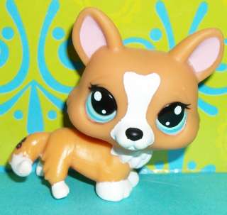 Littlest Pet Shop~#1360 CARAMEL WELSH CORGI FOX PUPPY DOG Green Eyes 