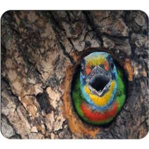  Barbet Mouse Pad