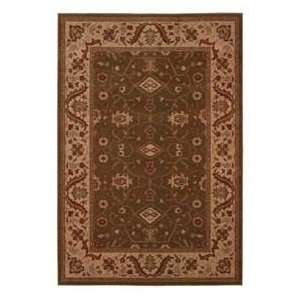  828 Crown Point CP07 Traditional 33 x 53 Area Rug 