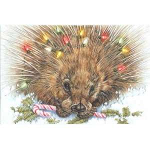   Boxed Christmas Cards Princely Porcupine