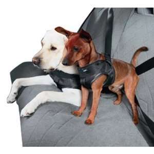  BMW Dog Safety Harness  LARGE (60 90 lbs) 