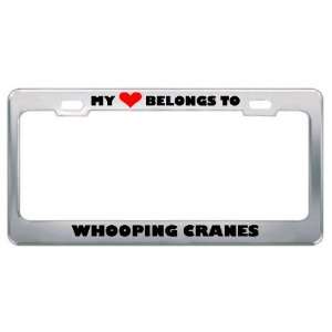 My Heart Belongs To Whooping Cranes Animals Metal License Plate Frame 