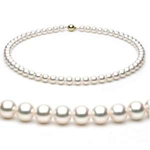   Saltwater Cultured Pearl Necklace AAA Quality, 16 Inch Choker Jewelry