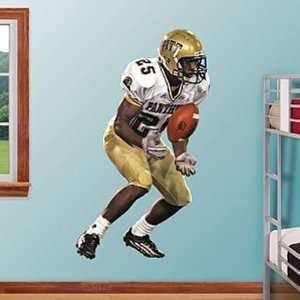  Darrelle Revis Fathead Wall Graphic Pittsburgh Sports 