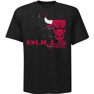 Nba Exclusive Collection Chicago Bulls Snapback Hook T Shirt Extra 