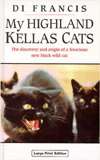   Cats   The Discovery and Origin of a ferocious new black wild cat