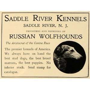  1906 Ad Russian Wolfhounds Dogs Saddle River Kennels NJ 