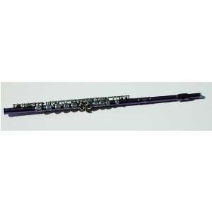   PURPLE BEAUTY SCHOOL BAND / ORCHESTRA FLUTE Musical Instruments