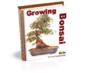   Bonsai Trees by dillon, M&M Pubs  NOOK Book (eBook)