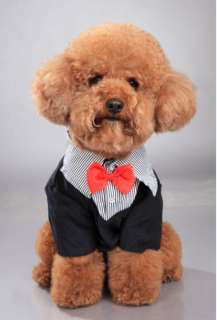   Dog Clothes Western Style Mens Suit & Bow Tie Puppy Costume Apparel