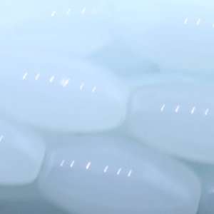 White glass bead  Melon Plain   16mm Height, 8mm Width, Sold by 16 