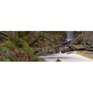  Through a Forest, Mallyan Spout, Goathland, Whitby, North Yorkshire 