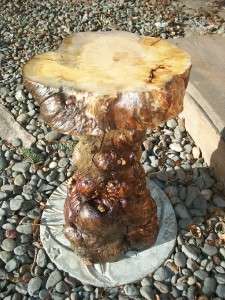 18 inch tall Rustic burl wood end table or plant stand; natural slab 