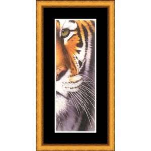  Tiger Eye by Mitch Ridder   Framed Artwork