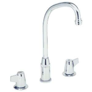   LKDC2432 Classroom and Institutional Faucet, Chrome