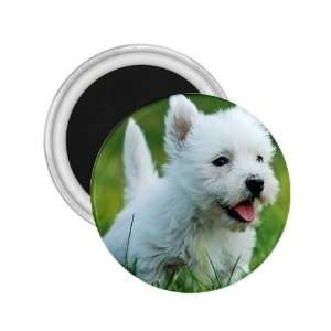 Westie Puppy Dog 6 2.25in Magnet R0646