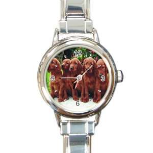  Irish Setter Puppy Dog 2 Round Italian Charm Watch Y0695 