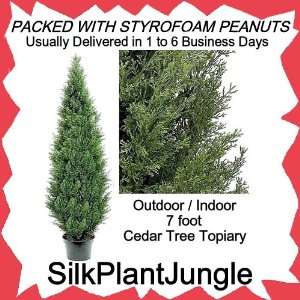   Cedar Tower Cone Topiary Tree Plant packed in peanuts
