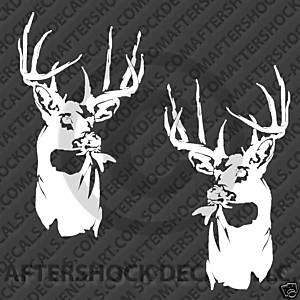 Whitetail deer decal whisker buck sticker  