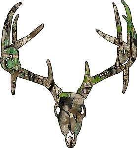  Deer Skull S7 Vinyl Sticker Decal Hunting Big Buck trophy whitetail 