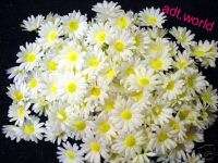 New silk daisies white wedding graveside flowers daisy  